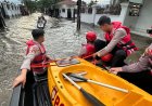 Aksi Heroik 'Polisi Penolong', Detasemen Perintis Terjang Banjir Cilincing Evakuasi Warga